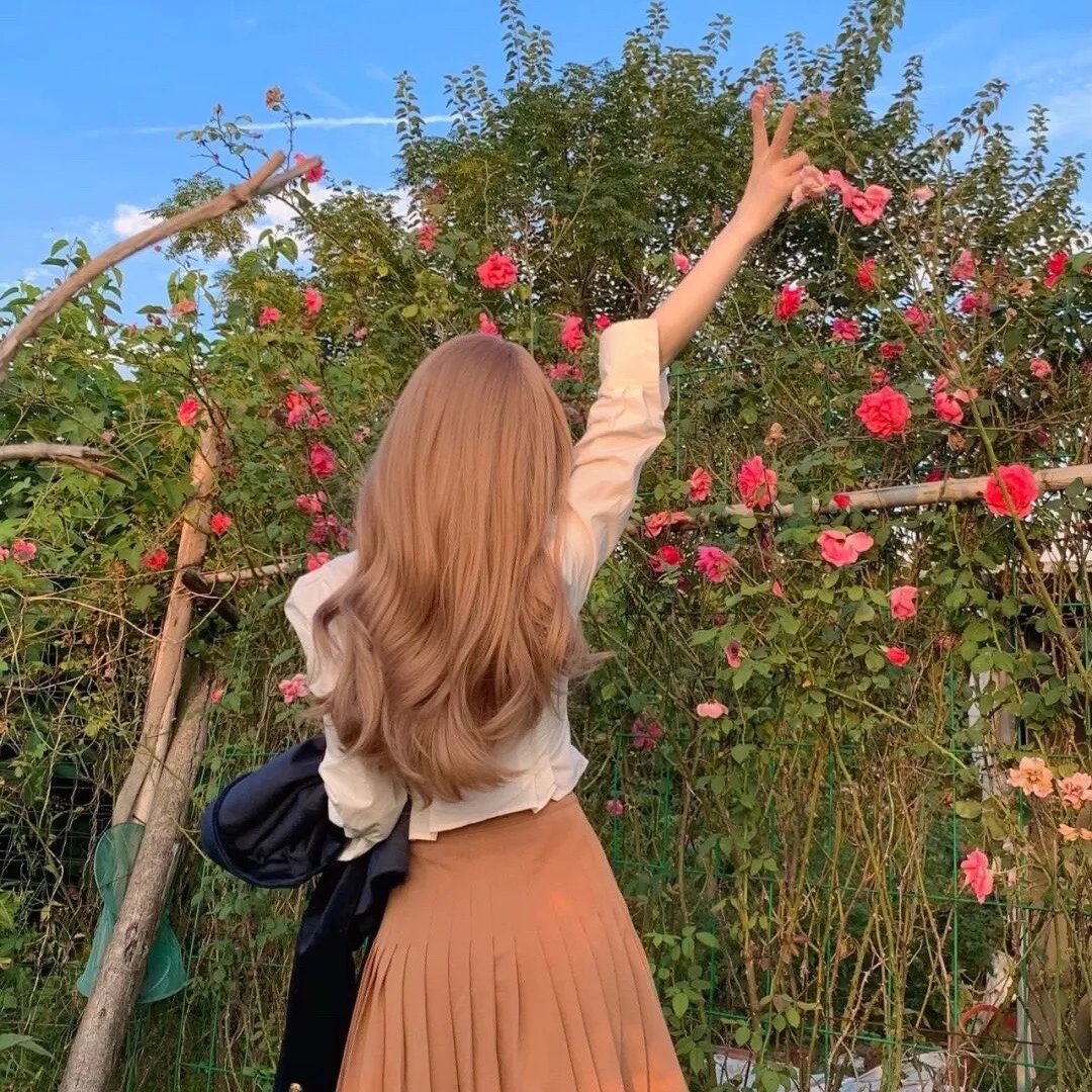 凤仙花